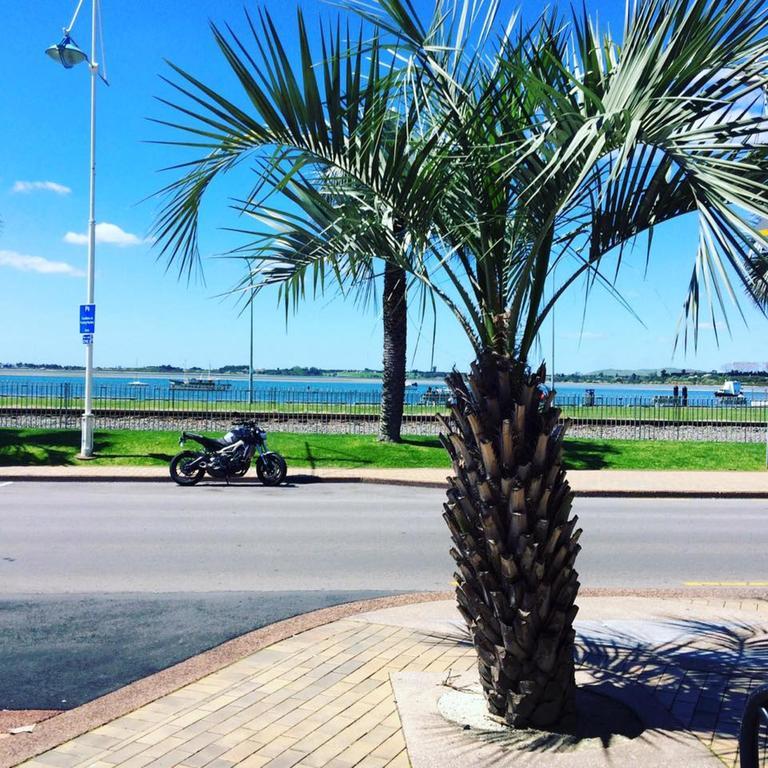 Harbourside City Backpackers Tauranga Ngoại thất bức ảnh